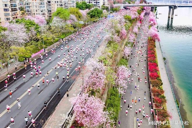 马拉松,就是要多向社会“报喜”
